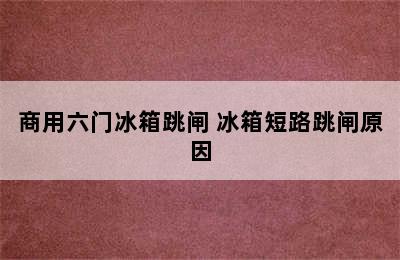 商用六门冰箱跳闸 冰箱短路跳闸原因